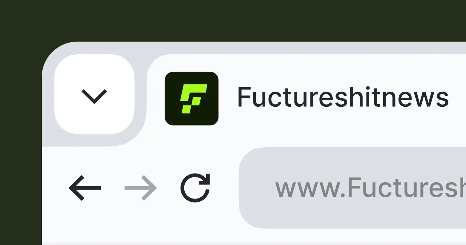 FUCTURESHIT.NEWS browser branding